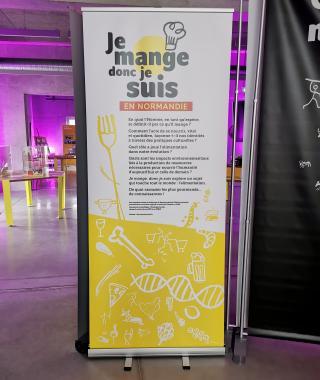 Agrandir l'image - fenêtre modale